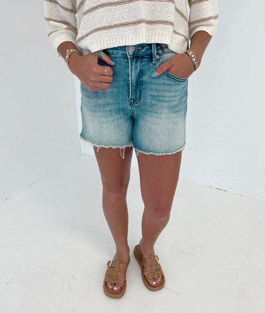 High Rise Frayed Denim Shorts