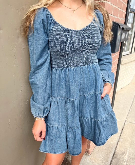 Coco Denim Mini Dress